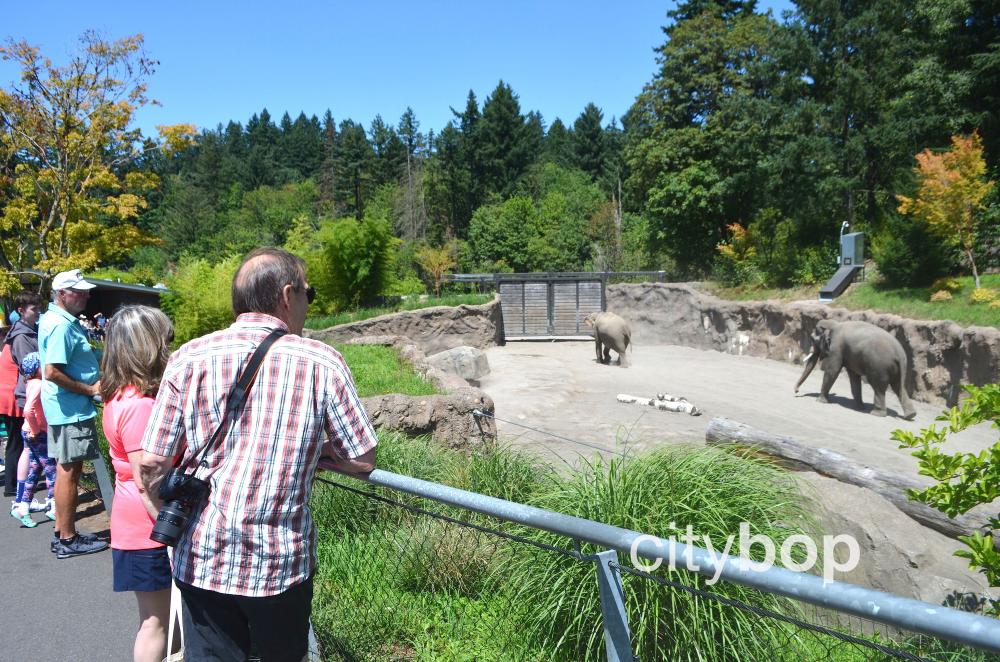 https://mdw-travel-data-us-east-1.s3.amazonaws.com/img/country/United-States/Oregon-Zoo/img_00.jpg