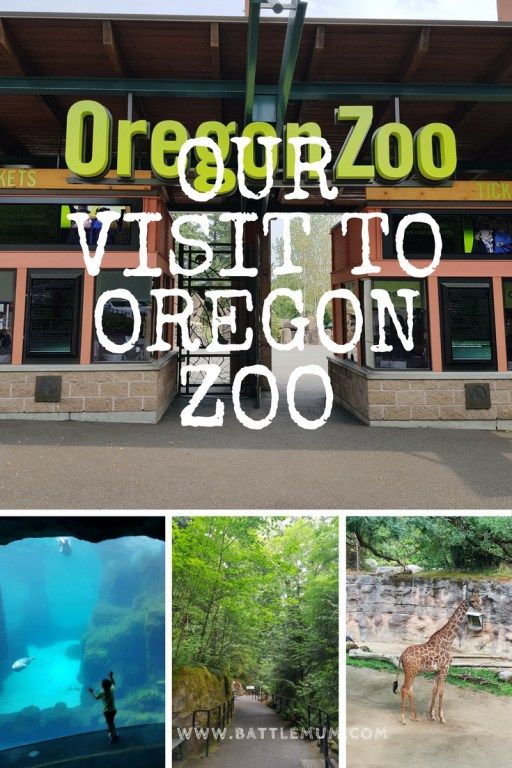 https://mdw-travel-data-us-east-1.s3.amazonaws.com/img/country/United-States/Oregon-Zoo/img_01.jpg