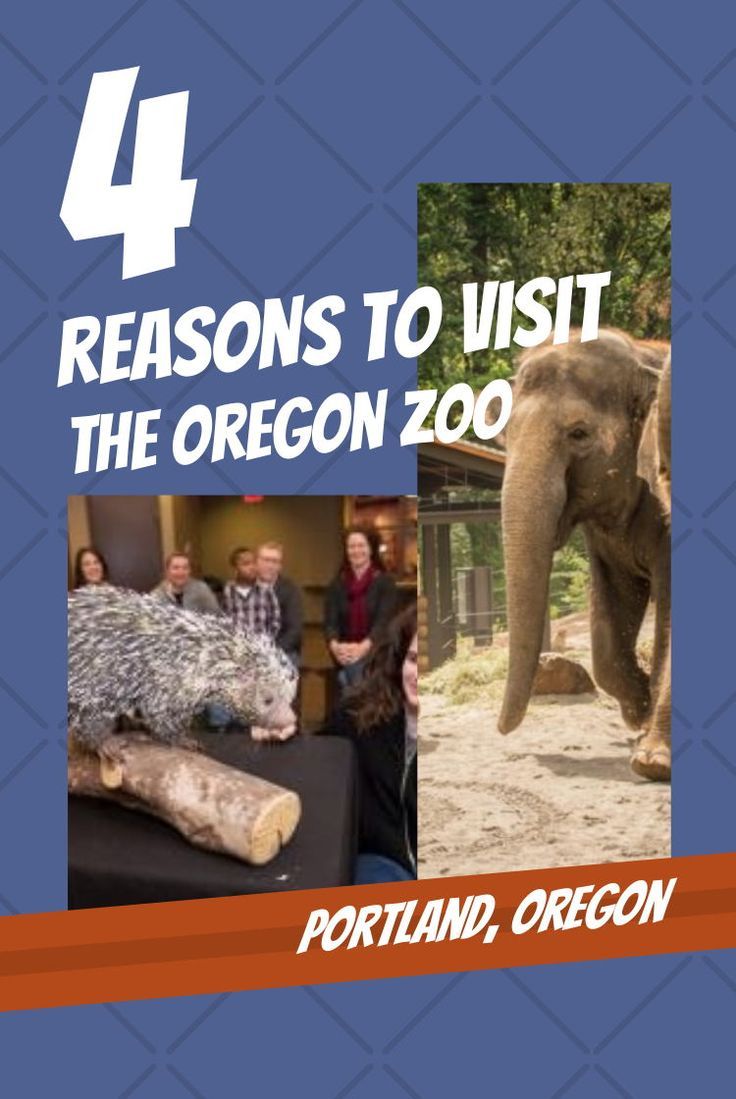 https://mdw-travel-data-us-east-1.s3.amazonaws.com/img/country/United-States/Oregon-Zoo/img_03.jpg