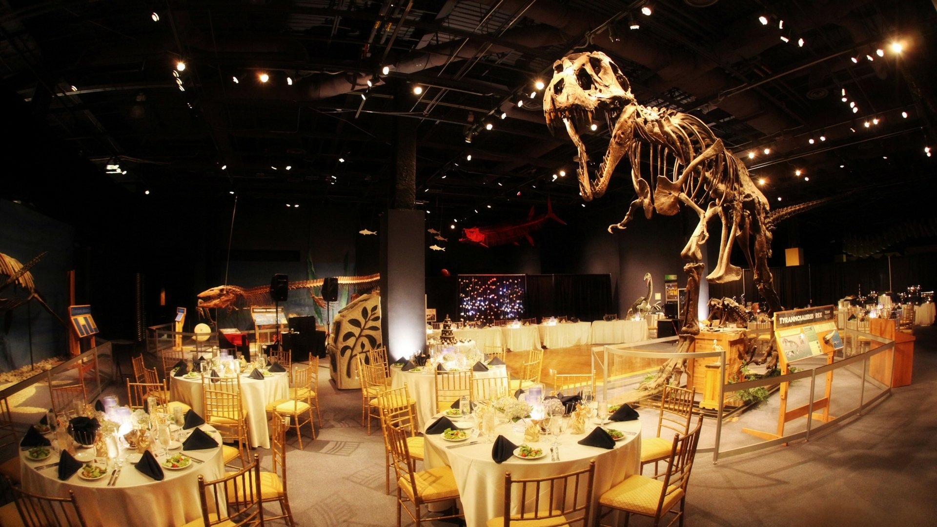 https://mdw-travel-data-us-east-1.s3.amazonaws.com/img/country/United-States/Orlando-Science-Center/img_03.jpg