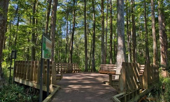 https://mdw-travel-data-us-east-1.s3.amazonaws.com/img/country/United-States/Palmetto-State-Park/img_01.jpg