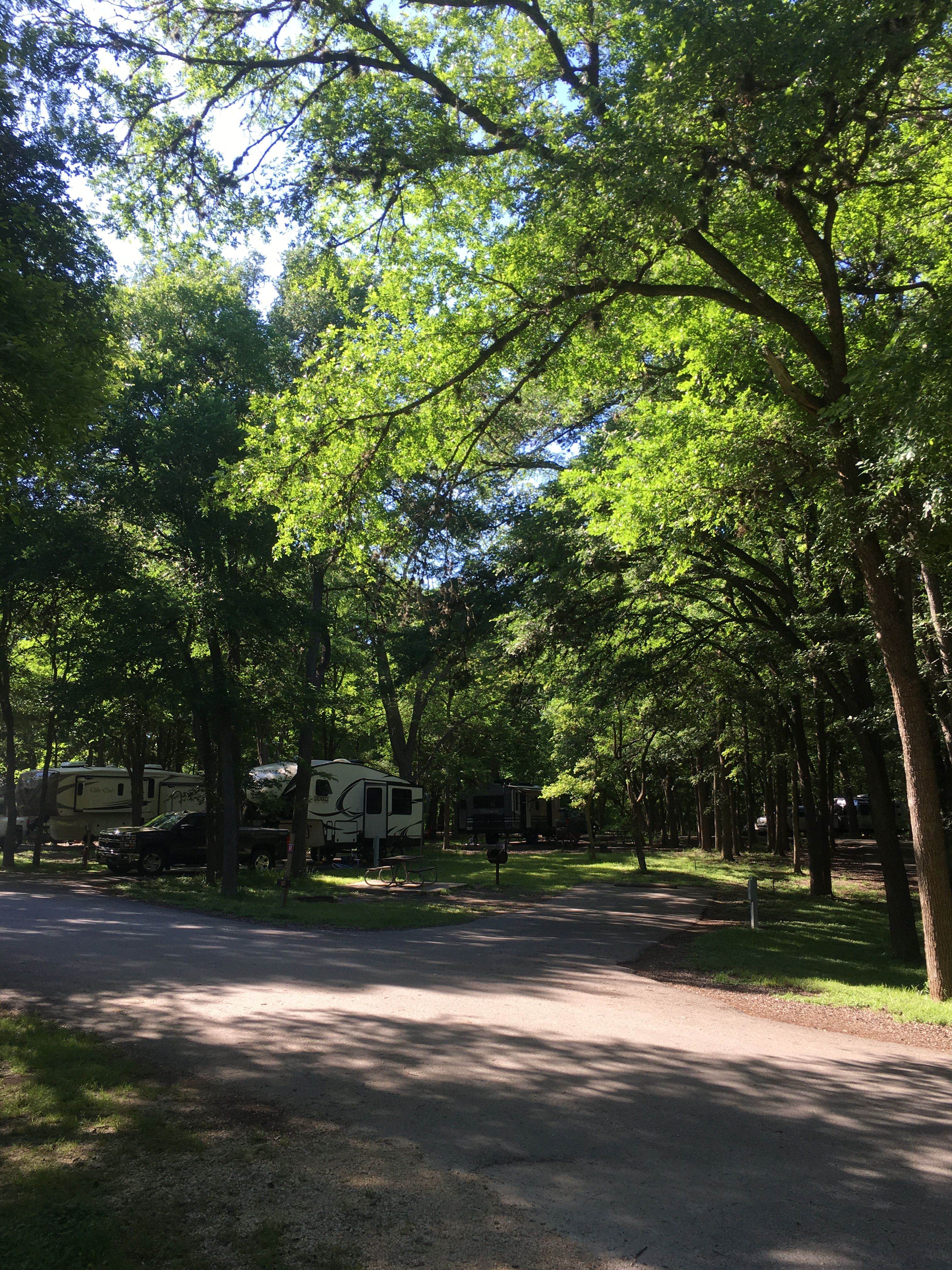 https://mdw-travel-data-us-east-1.s3.amazonaws.com/img/country/United-States/Palmetto-State-Park/img_03.jpg