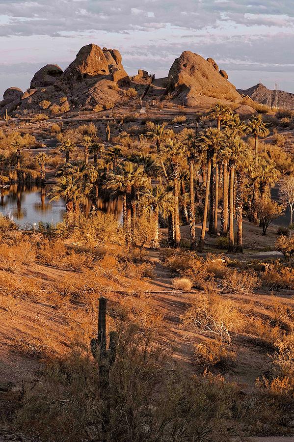 https://mdw-travel-data-us-east-1.s3.amazonaws.com/img/country/United-States/Papago-Park/img_05.jpg