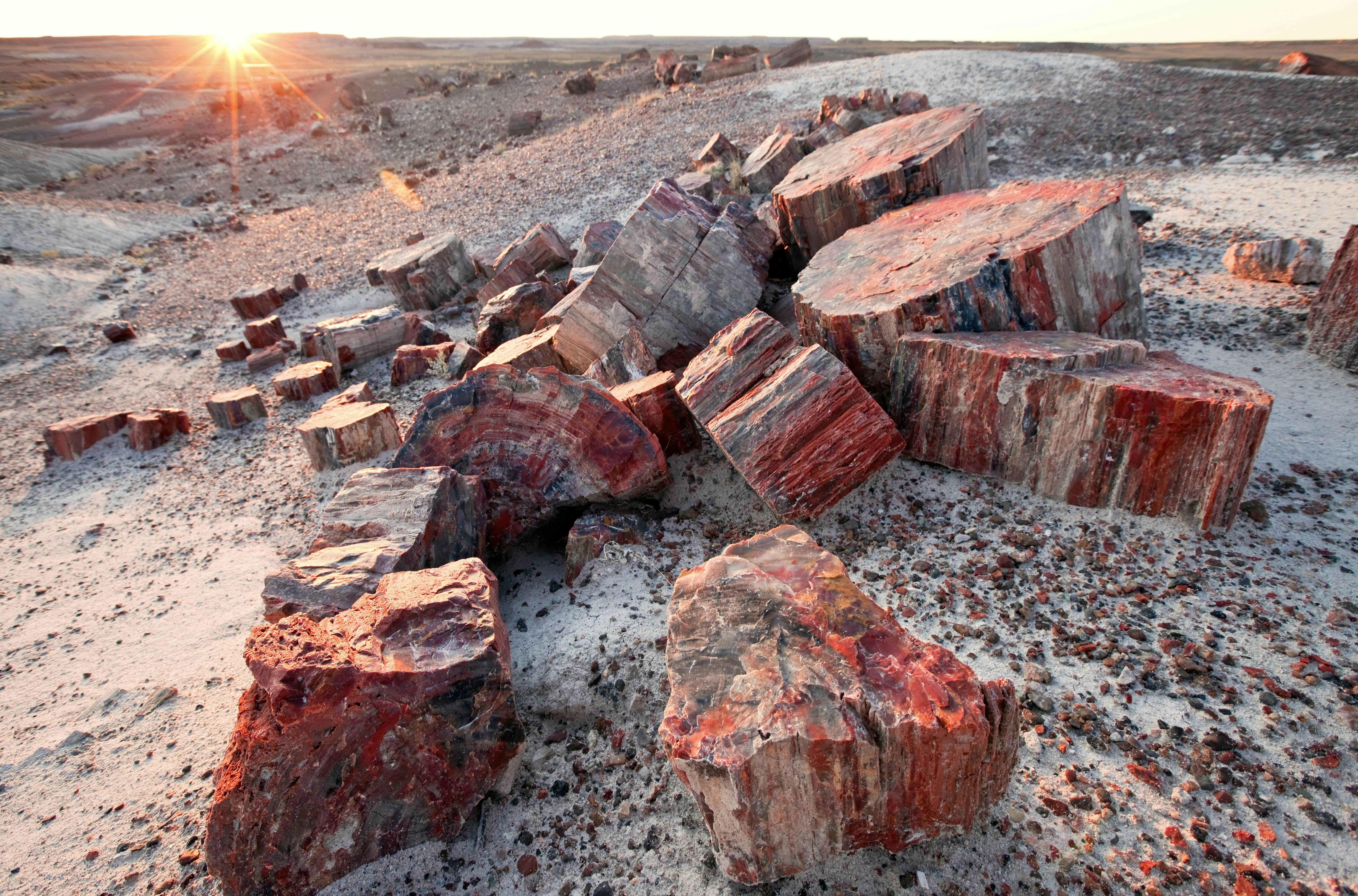 https://mdw-travel-data-us-east-1.s3.amazonaws.com/img/country/United-States/Petrified-Forest-National-Park/img_00.jpg