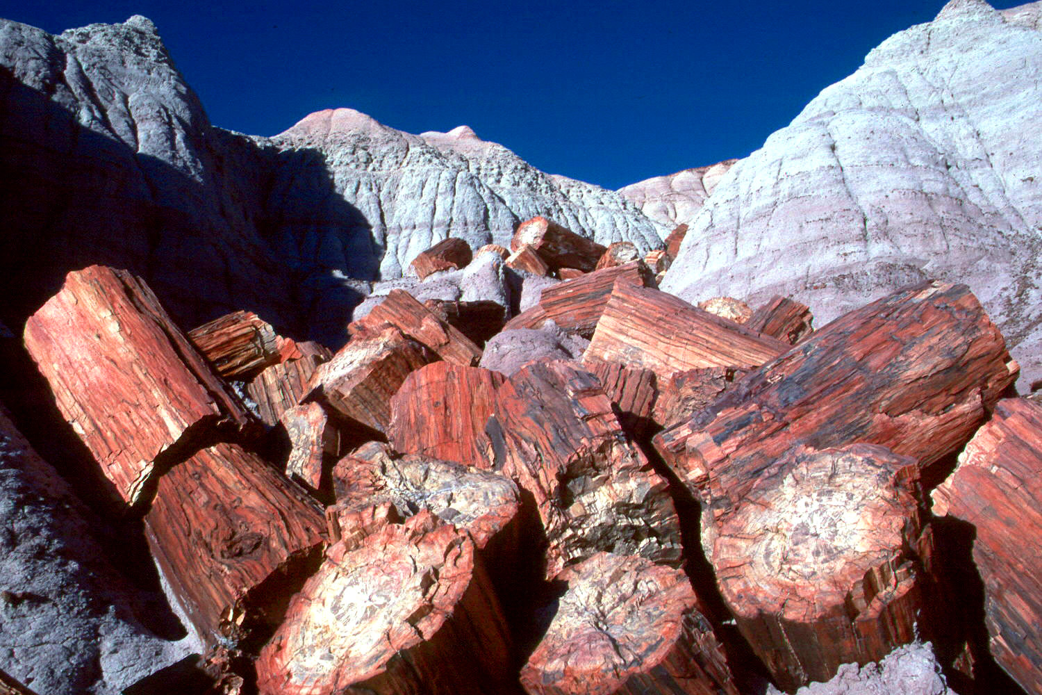 https://mdw-travel-data-us-east-1.s3.amazonaws.com/img/country/United-States/Petrified-Forest-National-Park/img_01.jpg