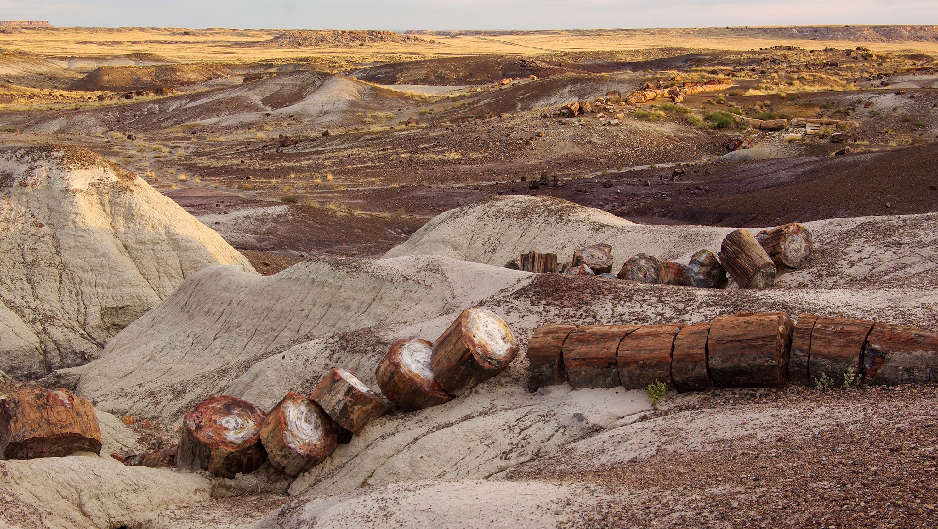 https://mdw-travel-data-us-east-1.s3.amazonaws.com/img/country/United-States/Petrified-Forest-National-Park/img_03.jpg