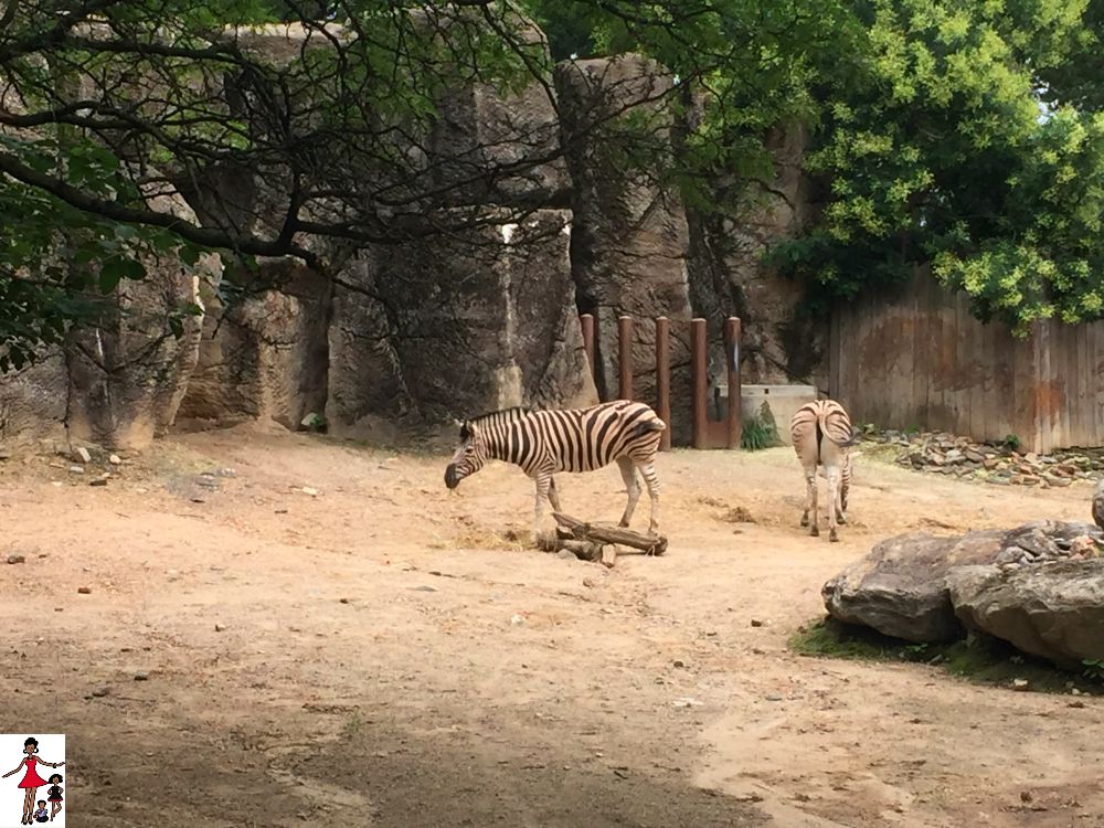 https://mdw-travel-data-us-east-1.s3.amazonaws.com/img/country/United-States/Philadelphia-Zoo/img_05.jpg