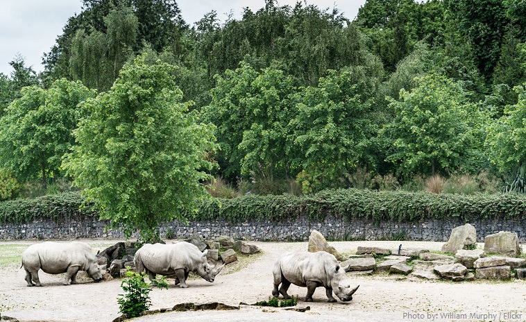 https://mdw-travel-data-us-east-1.s3.amazonaws.com/img/country/United-States/Phoenix-Zoo/img_01.jpg