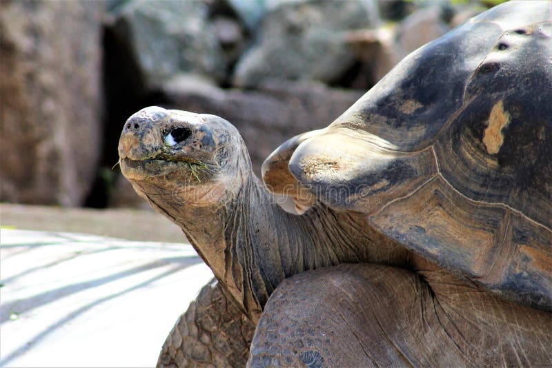 https://mdw-travel-data-us-east-1.s3.amazonaws.com/img/country/United-States/Phoenix-Zoo/img_03.jpg