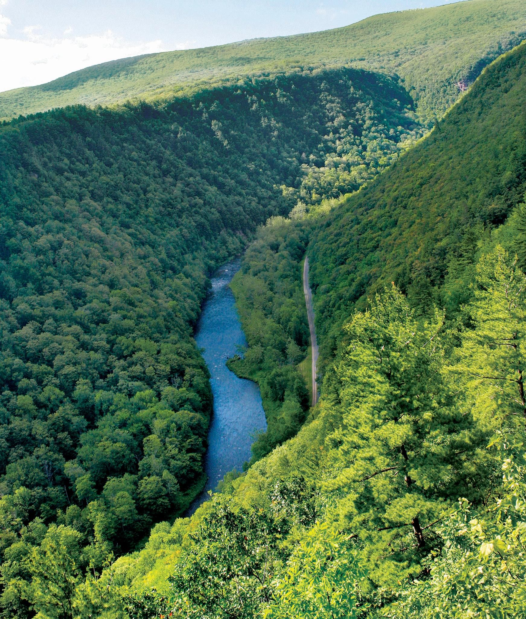 https://mdw-travel-data-us-east-1.s3.amazonaws.com/img/country/United-States/Pine-Creek-Gorge/img_03.jpg