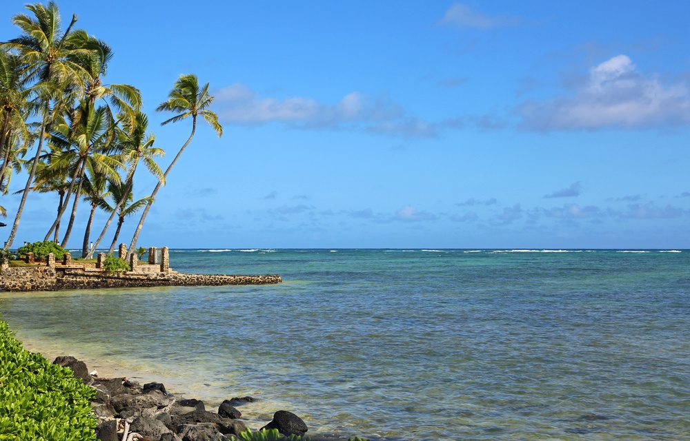 https://mdw-travel-data-us-east-1.s3.amazonaws.com/img/country/United-States/Punaluu-Beach-Park/img_02.jpg