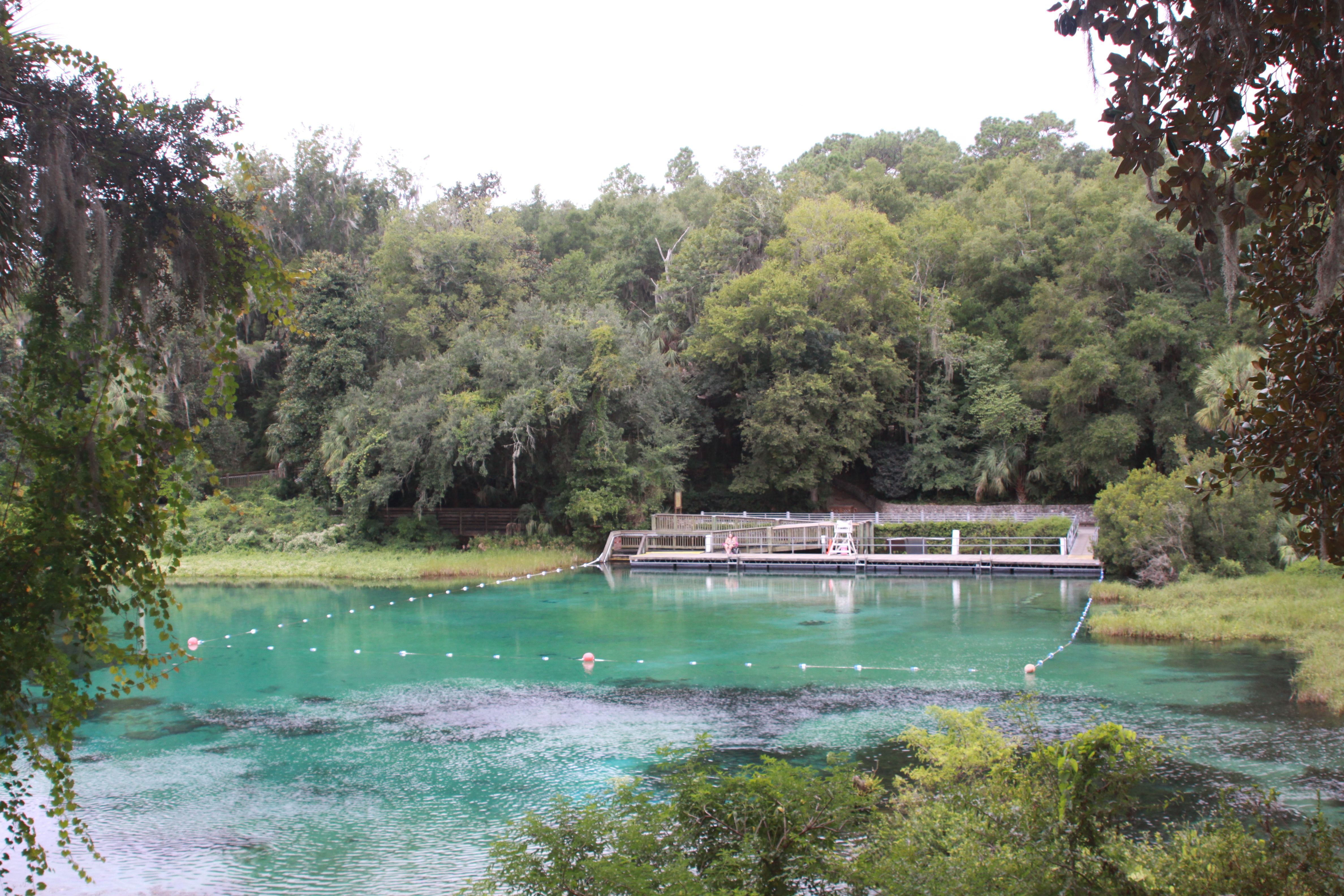 https://mdw-travel-data-us-east-1.s3.amazonaws.com/img/country/United-States/Rainbow-Springs-State-Park/img_00.jpg