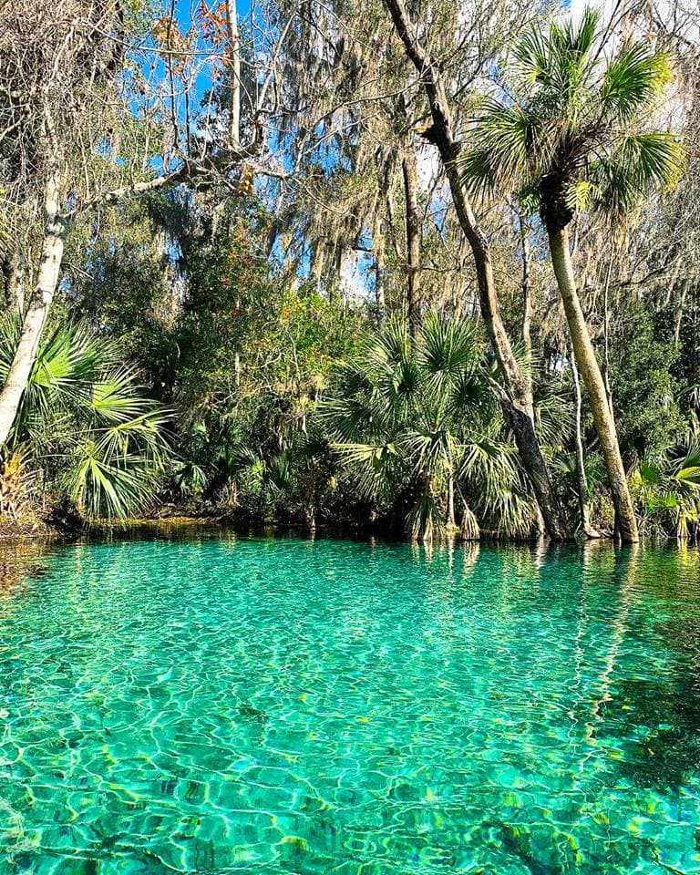https://mdw-travel-data-us-east-1.s3.amazonaws.com/img/country/United-States/Rainbow-Springs-State-Park/img_03.jpg