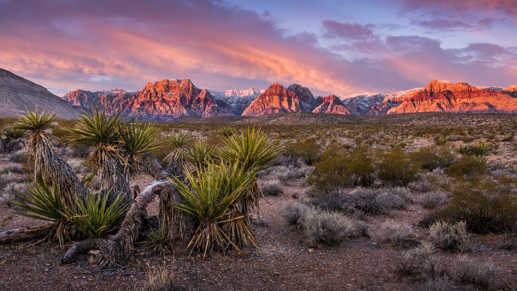 https://mdw-travel-data-us-east-1.s3.amazonaws.com/img/country/United-States/Red-Rock-Canyon-National-Conservation-Area/img_01.jpg