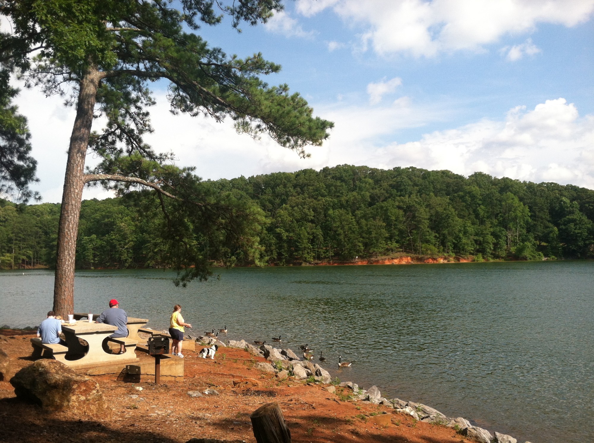 https://mdw-travel-data-us-east-1.s3.amazonaws.com/img/country/United-States/Red-Top-Mountain-State-Park/img_03.jpg
