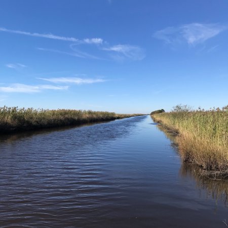 https://mdw-travel-data-us-east-1.s3.amazonaws.com/img/country/United-States/Sabine-National-Wildlife-Refuge/img_01.jpg