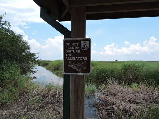 https://mdw-travel-data-us-east-1.s3.amazonaws.com/img/country/United-States/Sabine-National-Wildlife-Refuge/img_02.jpg