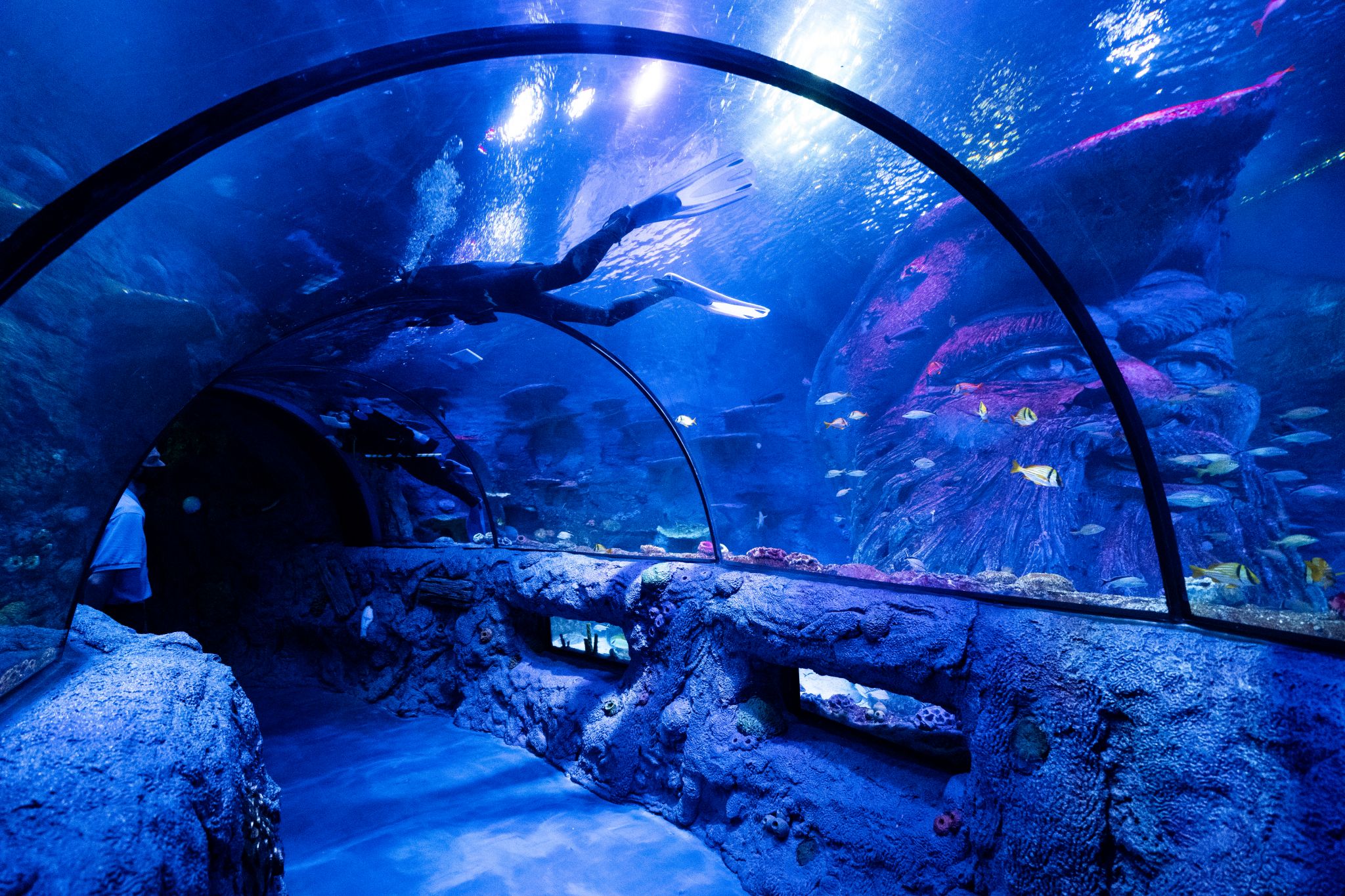 https://mdw-travel-data-us-east-1.s3.amazonaws.com/img/country/United-States/San-Antonio-Aquarium/img_01.jpg