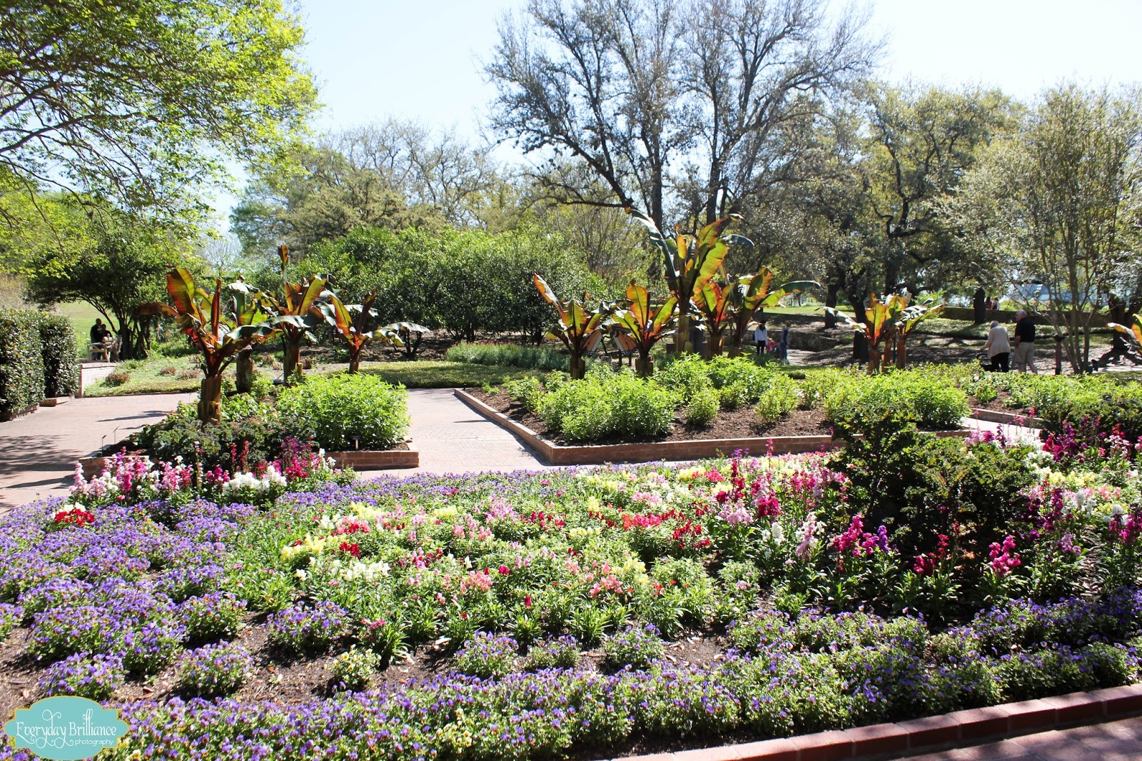 https://mdw-travel-data-us-east-1.s3.amazonaws.com/img/country/United-States/San-Antonio-Botanical-Garden/img_01.jpg