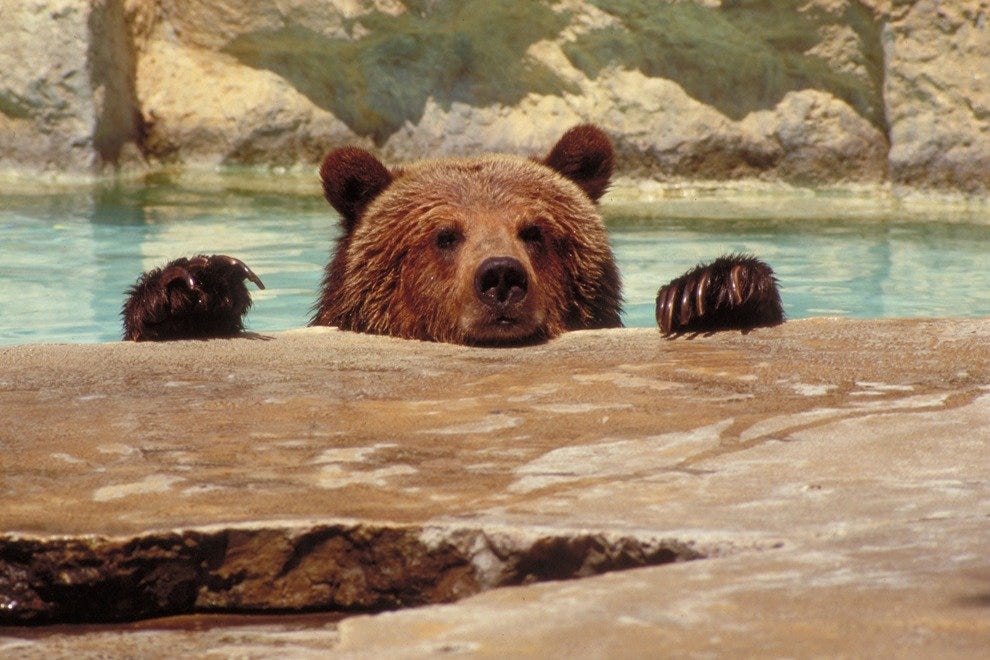 https://mdw-travel-data-us-east-1.s3.amazonaws.com/img/country/United-States/San-Antonio-Zoo/img_00.jpg