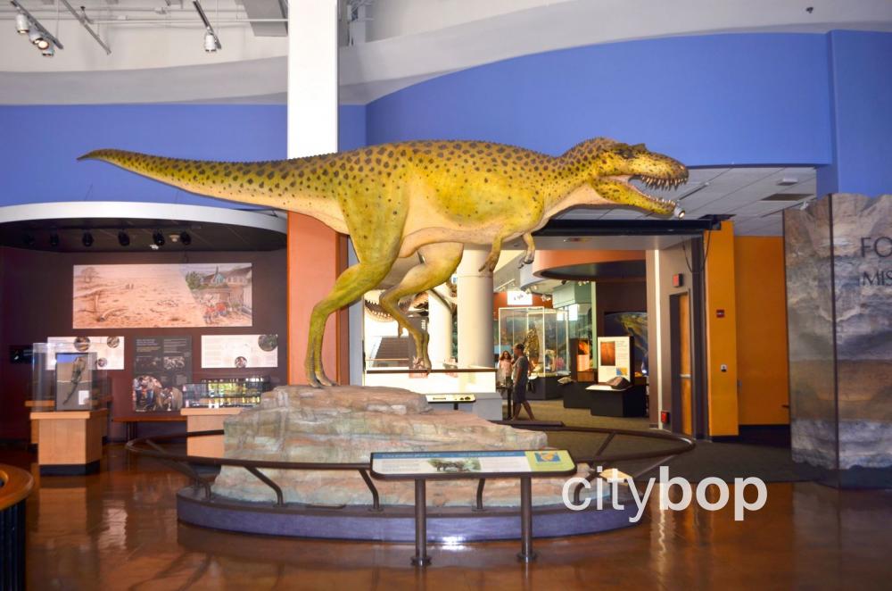 https://mdw-travel-data-us-east-1.s3.amazonaws.com/img/country/United-States/San-Diego-Natural-History-Museum/img_01.jpg