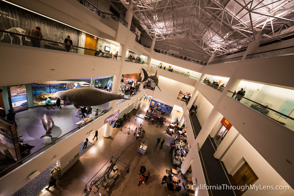 https://mdw-travel-data-us-east-1.s3.amazonaws.com/img/country/United-States/San-Diego-Natural-History-Museum/img_03.jpg