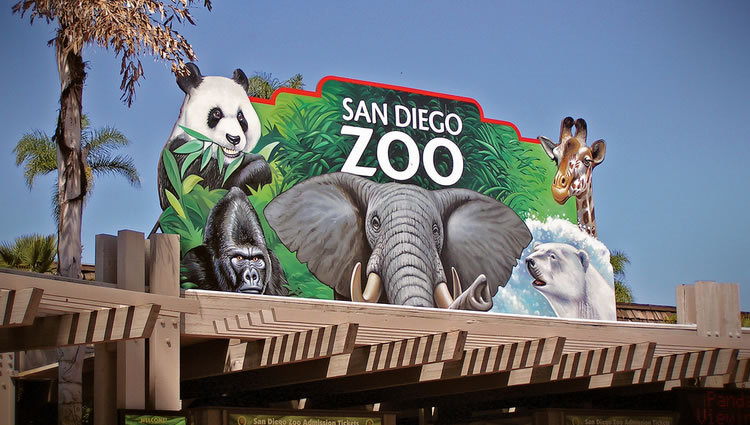 https://mdw-travel-data-us-east-1.s3.amazonaws.com/img/country/United-States/San-Diego-Zoo/img_04.jpg