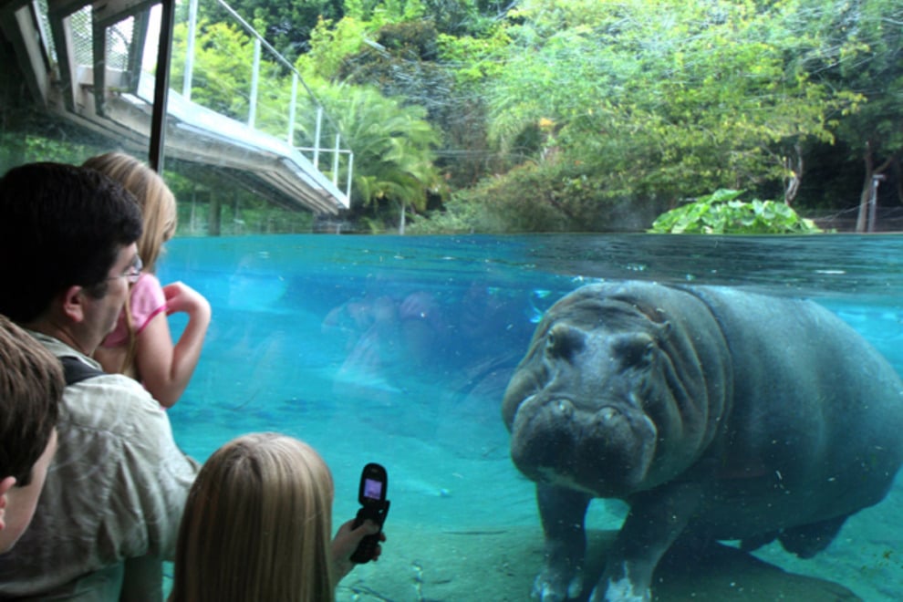 https://mdw-travel-data-us-east-1.s3.amazonaws.com/img/country/United-States/San-Diego-Zoo/img_05.jpg