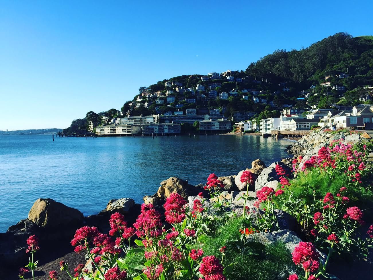 https://mdw-travel-data-us-east-1.s3.amazonaws.com/img/country/United-States/Sausalito/img_03.jpg