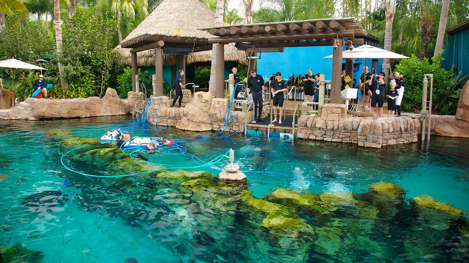 https://mdw-travel-data-us-east-1.s3.amazonaws.com/img/country/United-States/SeaWorld-Orlando/img_04.jpg