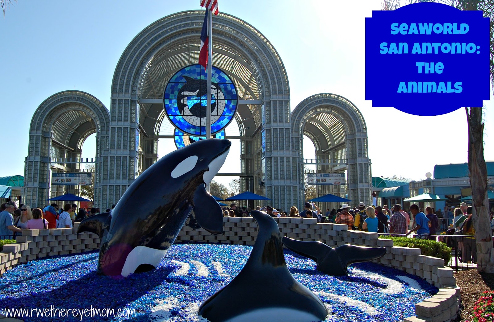 https://mdw-travel-data-us-east-1.s3.amazonaws.com/img/country/United-States/SeaWorld-San-Antonio/img_01.jpg
