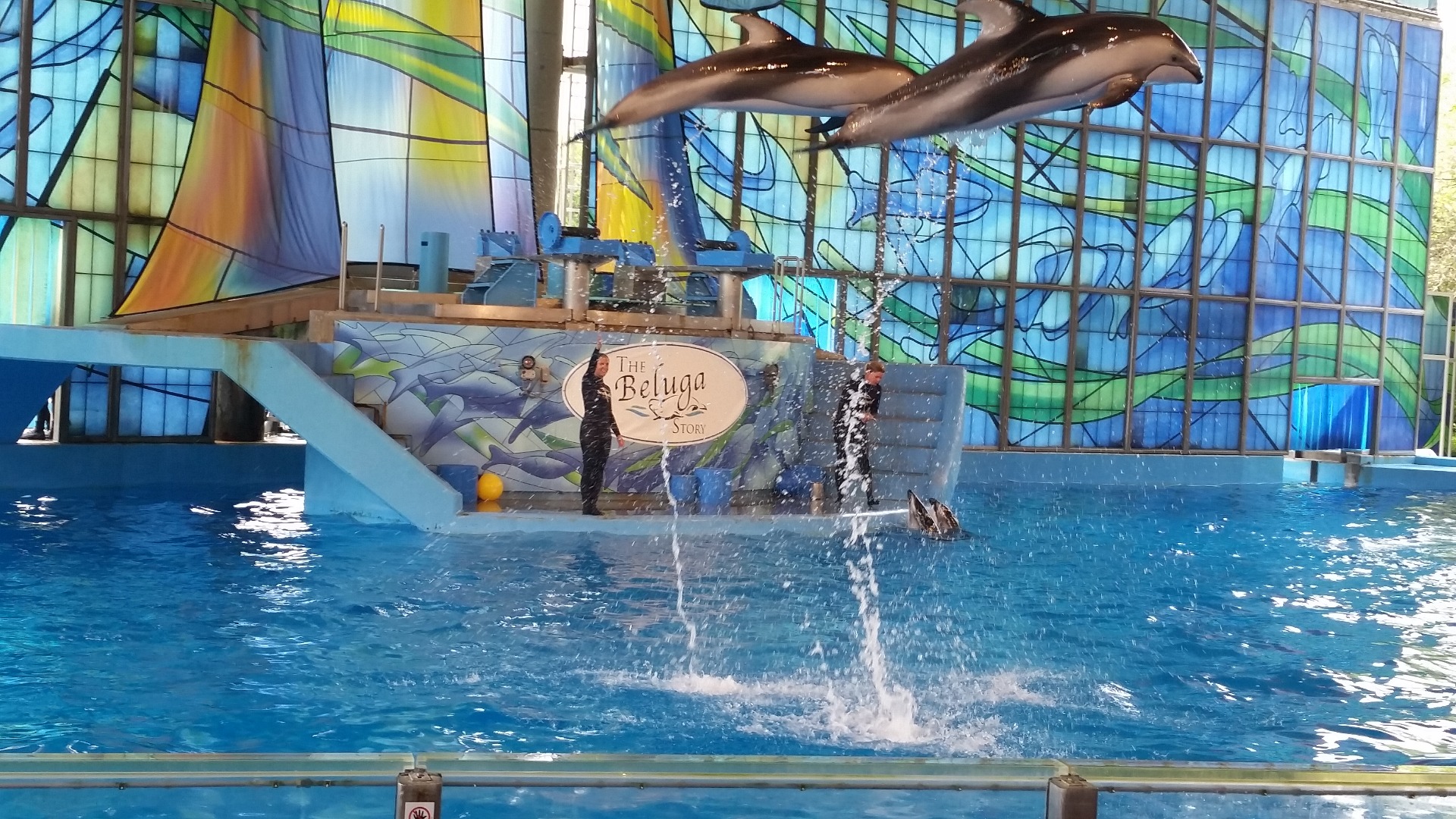https://mdw-travel-data-us-east-1.s3.amazonaws.com/img/country/United-States/SeaWorld-San-Antonio/img_03.jpg