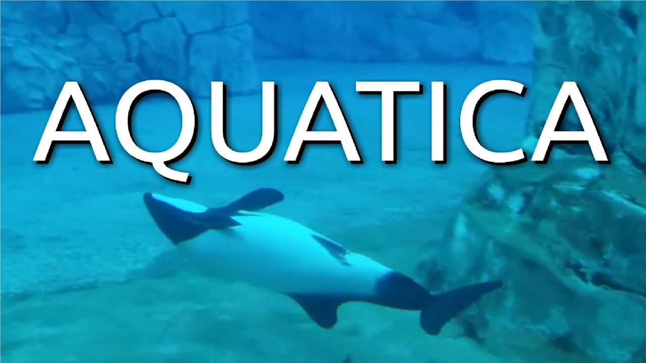 https://mdw-travel-data-us-east-1.s3.amazonaws.com/img/country/United-States/SeaWorlds-Aquatica-Waterpark/img_04.jpg