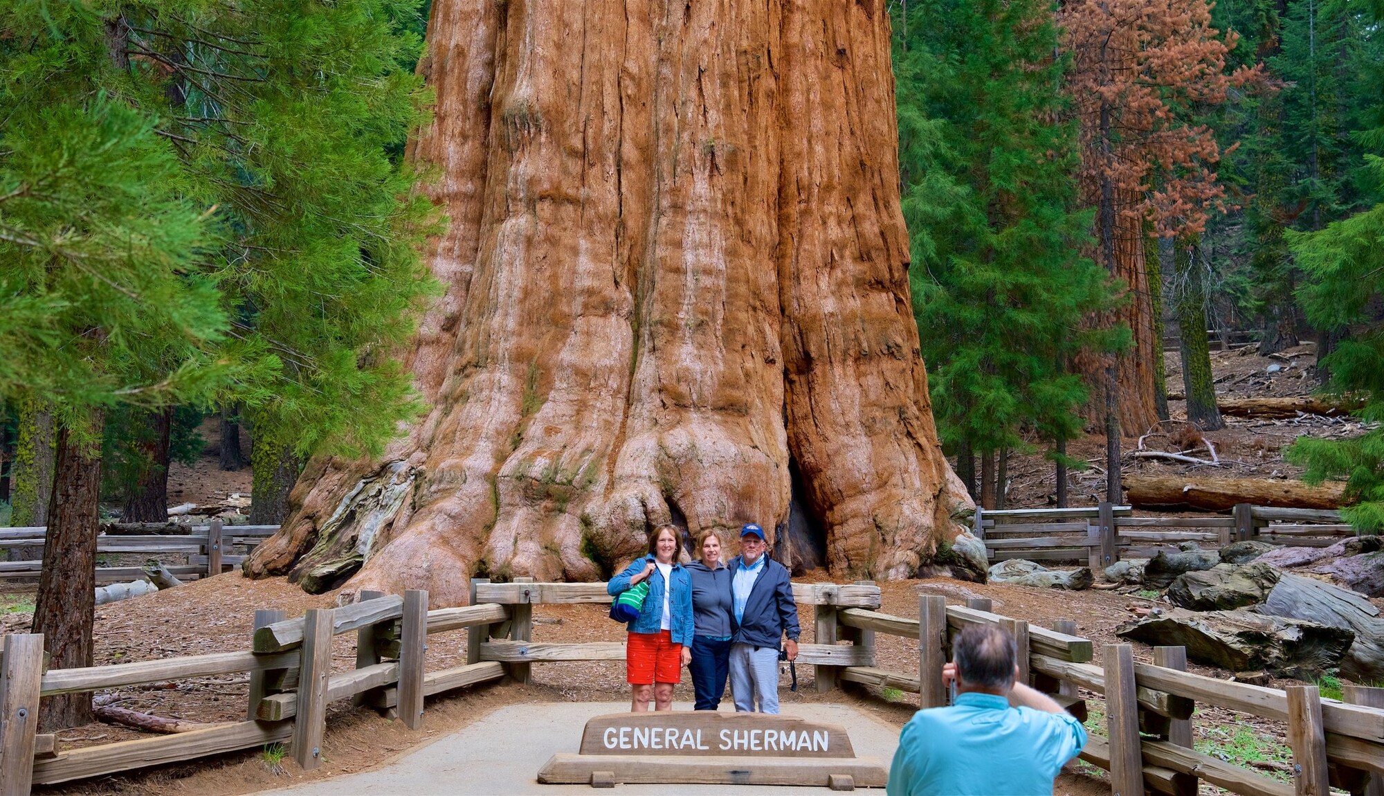 https://mdw-travel-data-us-east-1.s3.amazonaws.com/img/country/United-States/Sequoia-National-Park/img_02.jpg