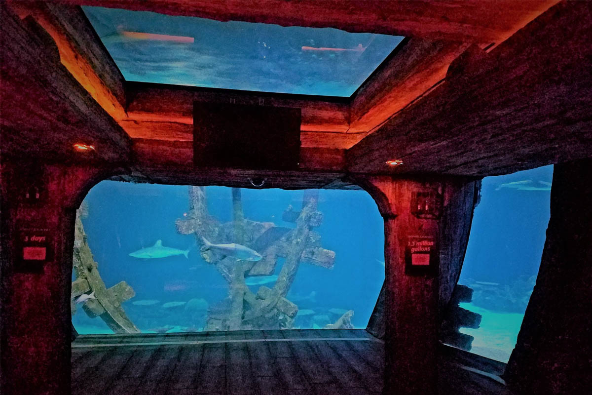 https://mdw-travel-data-us-east-1.s3.amazonaws.com/img/country/United-States/Shark-Reef-Aquarium/img_04.jpg
