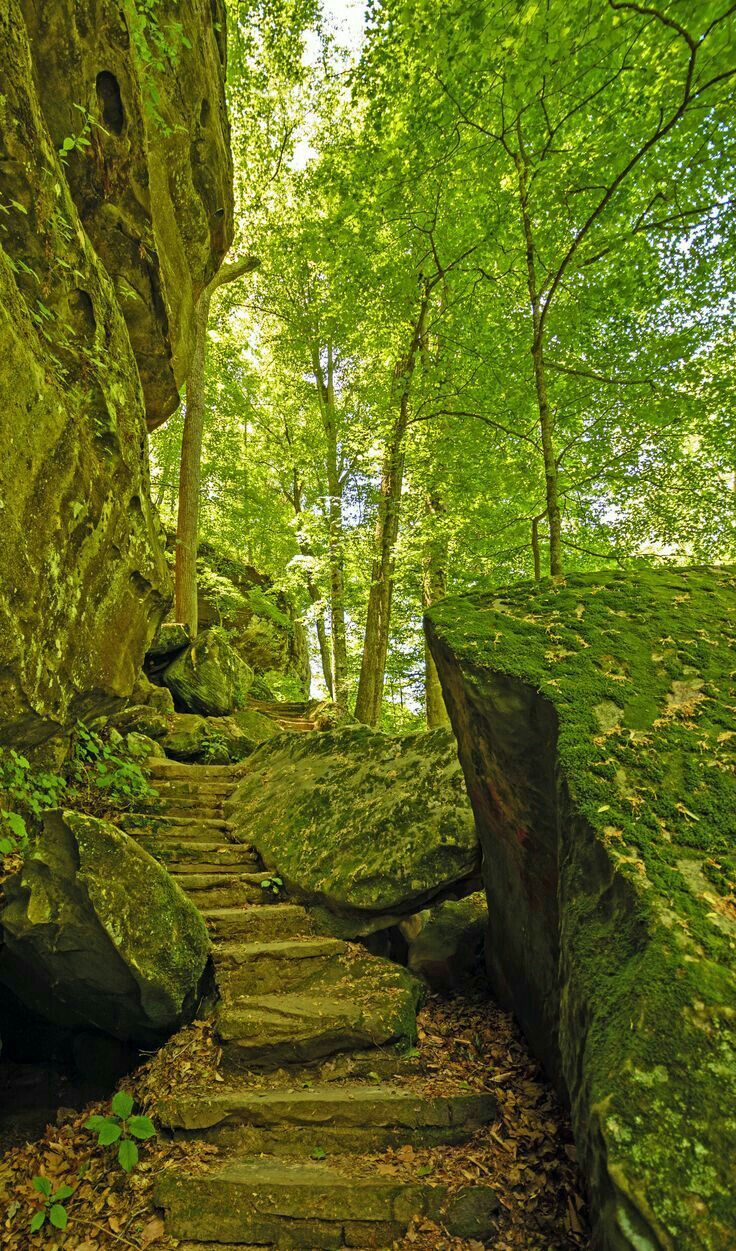 https://mdw-travel-data-us-east-1.s3.amazonaws.com/img/country/United-States/Shawnee-National-Forest/img_02.jpg