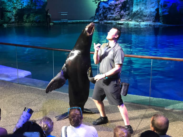 https://mdw-travel-data-us-east-1.s3.amazonaws.com/img/country/United-States/Shedd-Aquarium/img_02.jpg