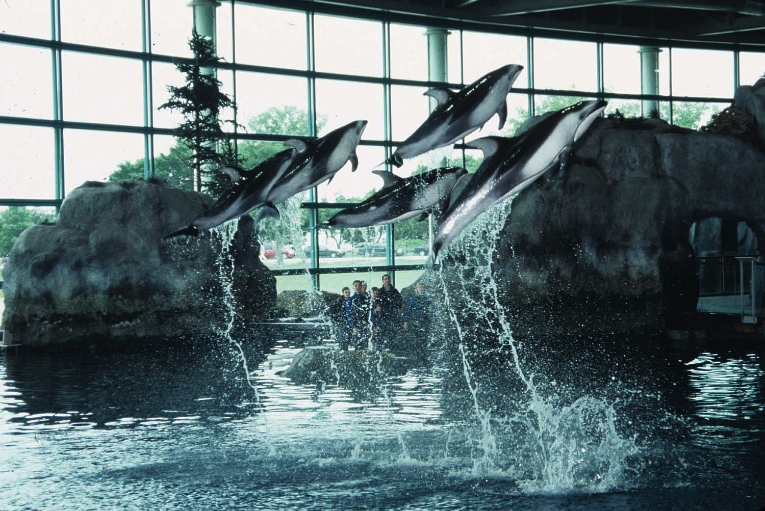 https://mdw-travel-data-us-east-1.s3.amazonaws.com/img/country/United-States/Shedd-Aquarium/img_04.jpg