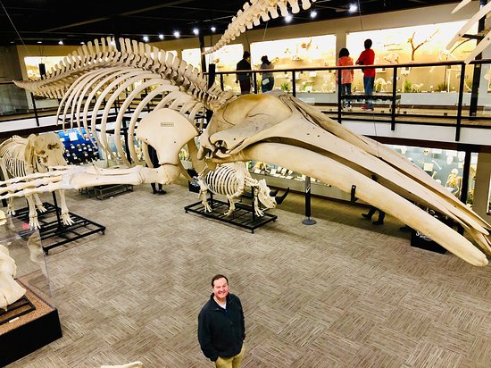 https://mdw-travel-data-us-east-1.s3.amazonaws.com/img/country/United-States/Skeletons:-Museum-of-Osteology/img_01.jpg