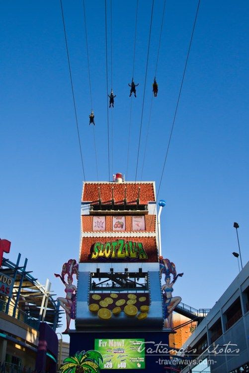 https://mdw-travel-data-us-east-1.s3.amazonaws.com/img/country/United-States/SlotZilla-Zip-Line/img_05.jpg