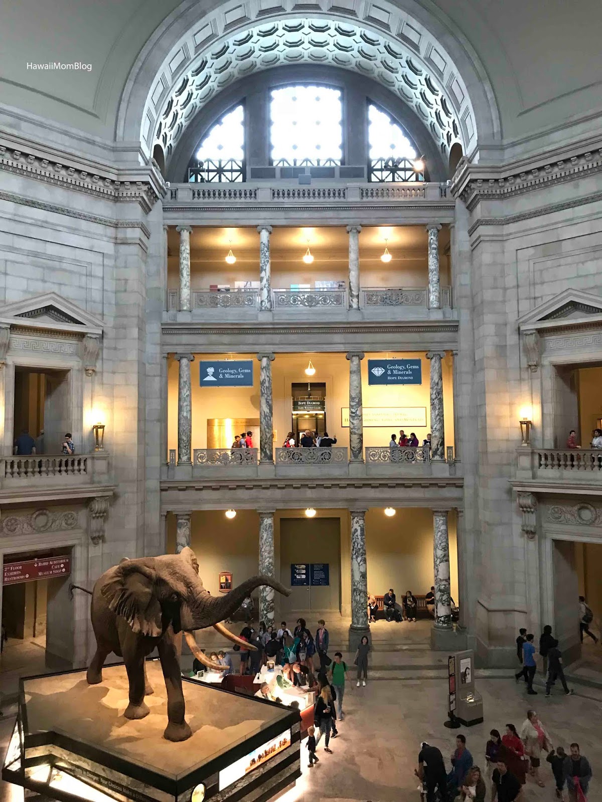 https://mdw-travel-data-us-east-1.s3.amazonaws.com/img/country/United-States/Smithsonian-National-Museum-of-Natural-History/img_02.jpg