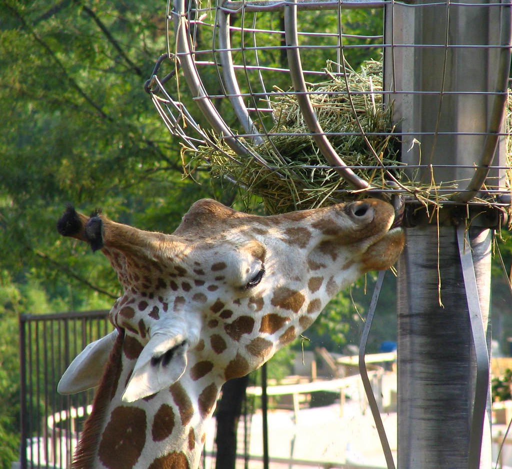 https://mdw-travel-data-us-east-1.s3.amazonaws.com/img/country/United-States/Smithsonian-National-Zoological-Park/img_01.jpg