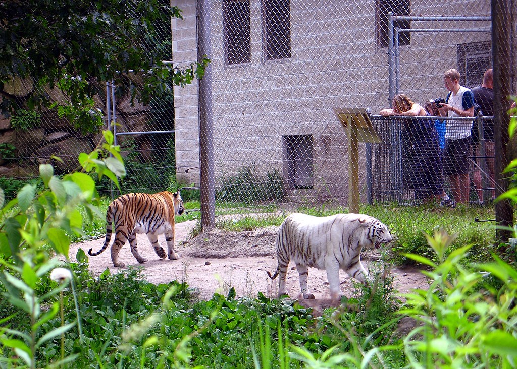 https://mdw-travel-data-us-east-1.s3.amazonaws.com/img/country/United-States/Southwicks-Zoo/img_01.jpg