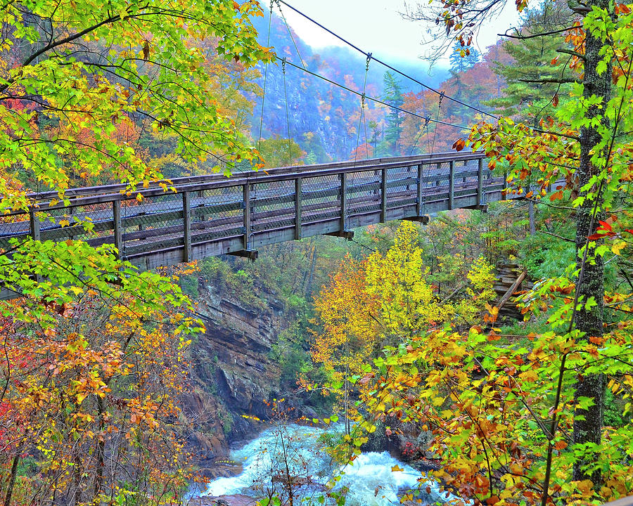 https://mdw-travel-data-us-east-1.s3.amazonaws.com/img/country/United-States/Tallulah-Gorge-Suspension-Bridge/img_01.jpg