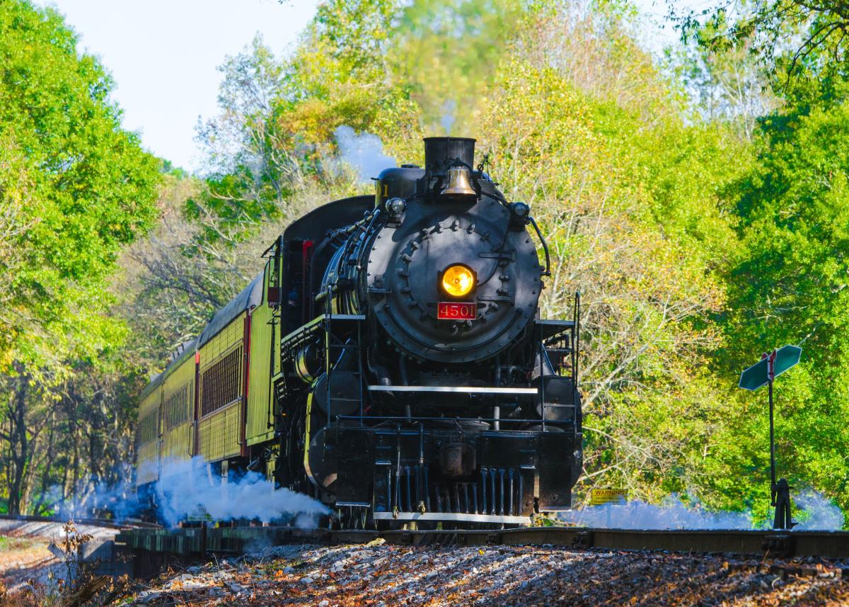 https://mdw-travel-data-us-east-1.s3.amazonaws.com/img/country/United-States/Tennessee-Valley-Railroad-Museum/img_00.jpg
