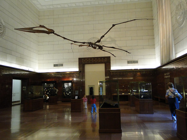 https://mdw-travel-data-us-east-1.s3.amazonaws.com/img/country/United-States/Texas-Memorial-Museum/img_01.jpg
