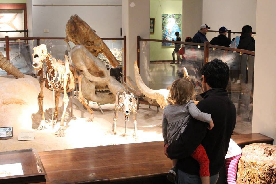 https://mdw-travel-data-us-east-1.s3.amazonaws.com/img/country/United-States/Texas-Memorial-Museum/img_02.jpg