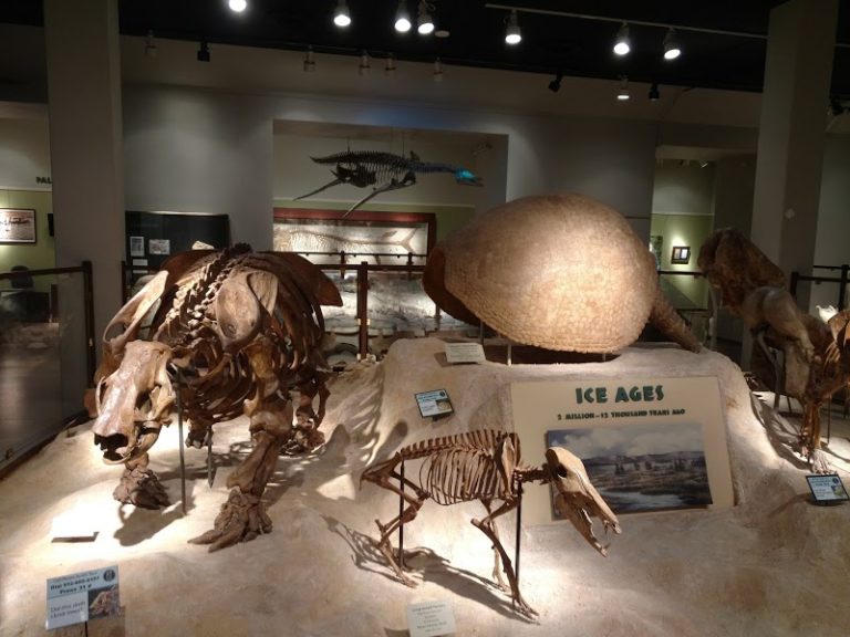 https://mdw-travel-data-us-east-1.s3.amazonaws.com/img/country/United-States/Texas-Memorial-Museum/img_04.jpg
