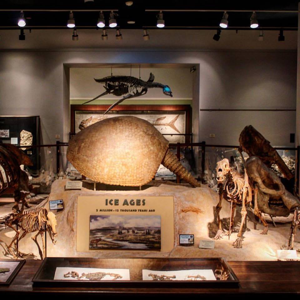 https://mdw-travel-data-us-east-1.s3.amazonaws.com/img/country/United-States/Texas-Memorial-Museum/img_05.jpg