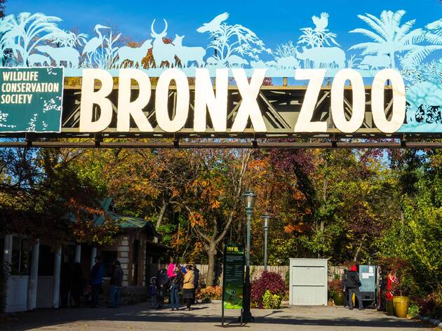 https://mdw-travel-data-us-east-1.s3.amazonaws.com/img/country/United-States/The-Bronx-Zoo/img_02.jpg